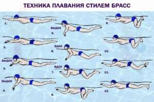 Как научить ребенка плавать брассом: советы и рекомендации